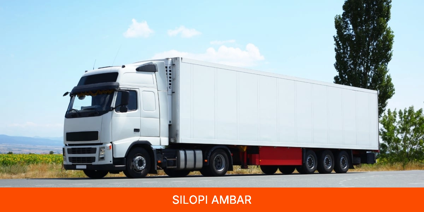 Silopi Ambar