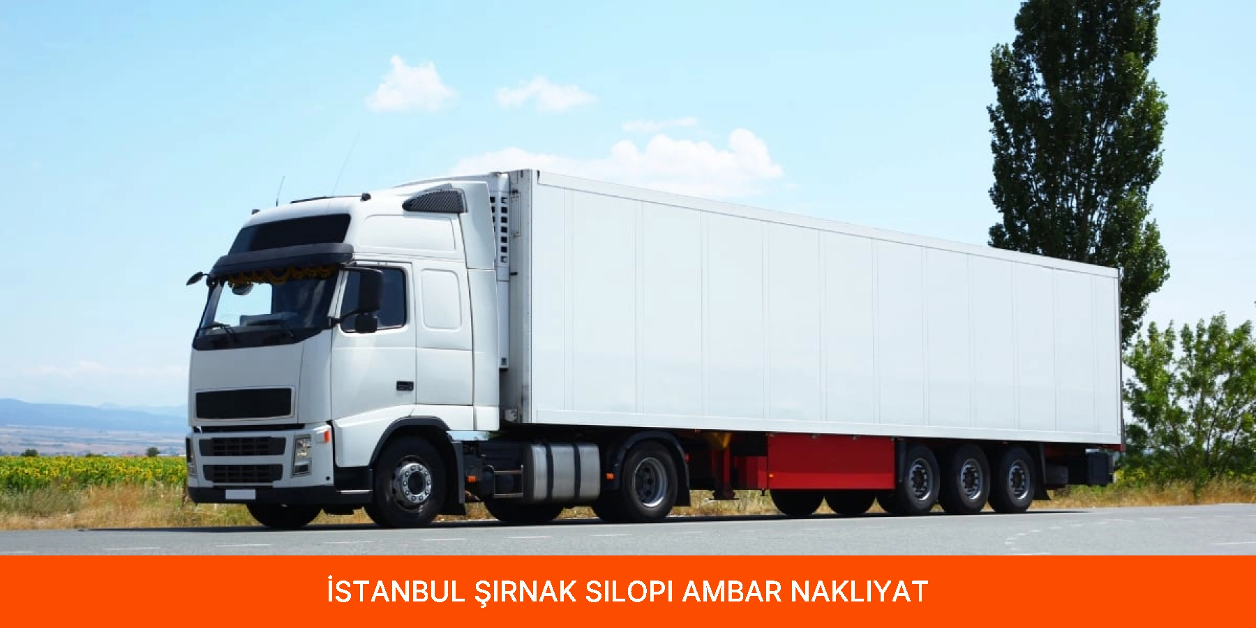 Silopi Ambar